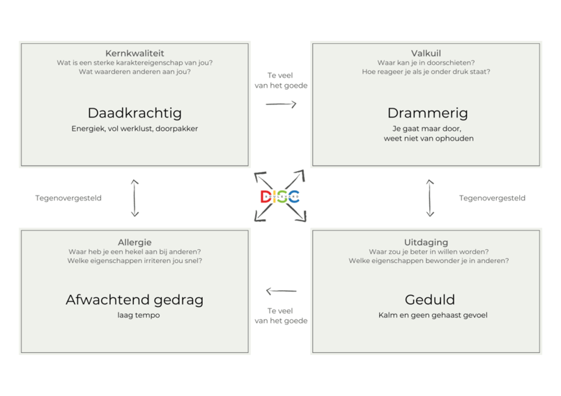 Kernkwadrant van Daniel Ofman