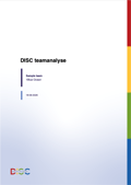 DISC-teamanalyse | Voorbeeldrapport