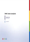 DISC team assessment | Example report