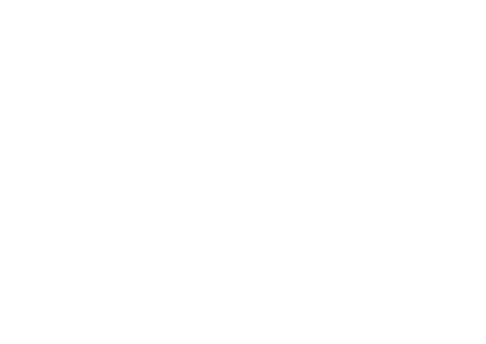 DBBW - logo klant - DISC Boulevard