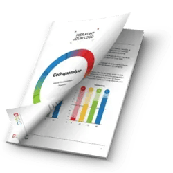 DISC-analyse-rapport-2-edited-3-300x300.png-1