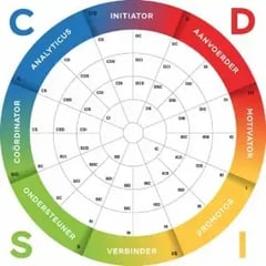 DISC teamwiel en DISC Teamrollen