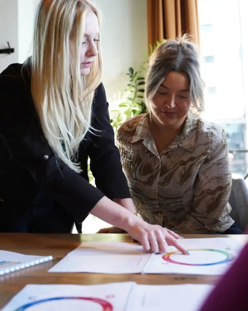 Uitleg-en-ondersteuning-DISC-teamwiel-DISC-Boulevard