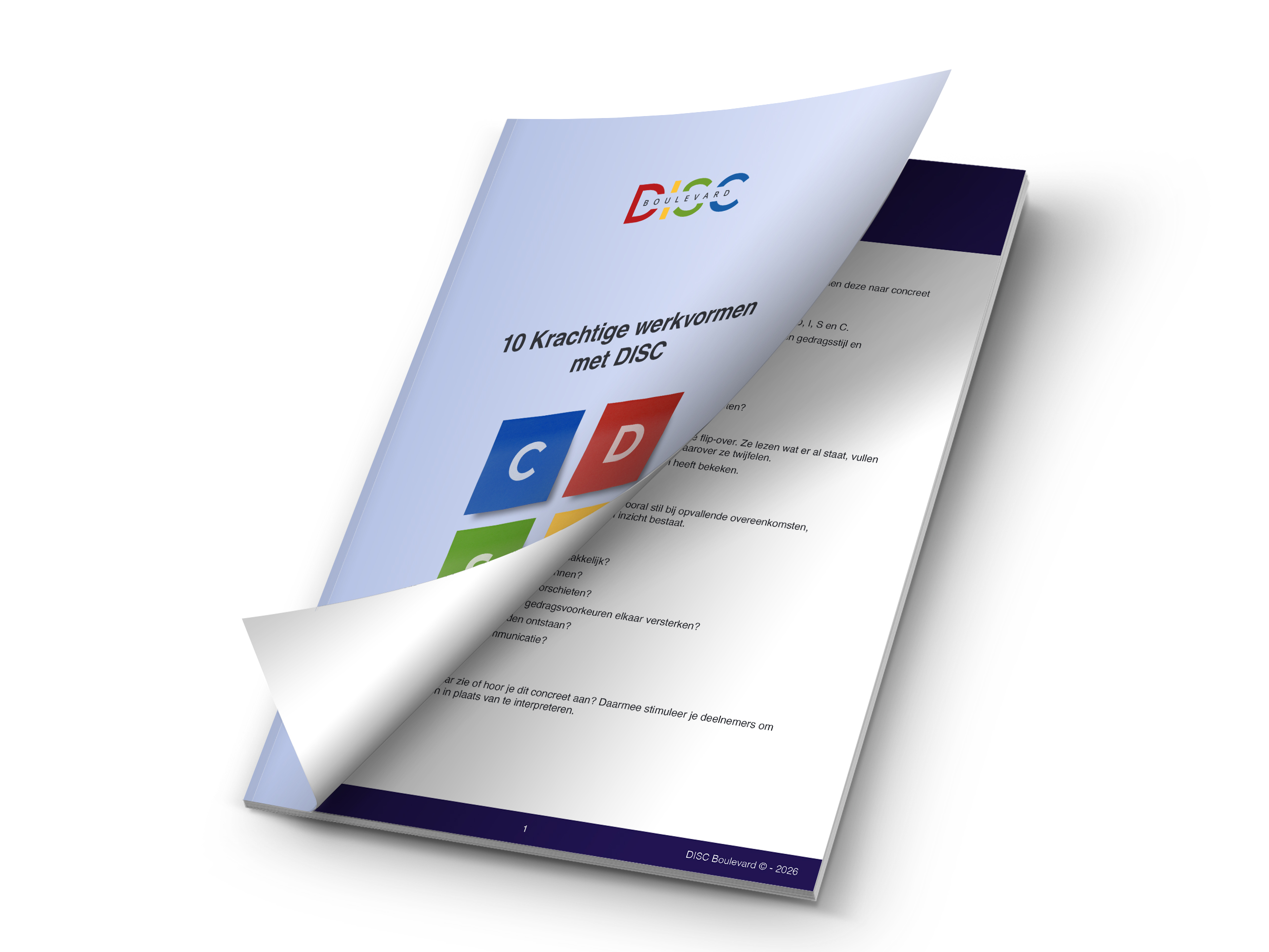 DISC startersguide e-book (10 werkvormen)