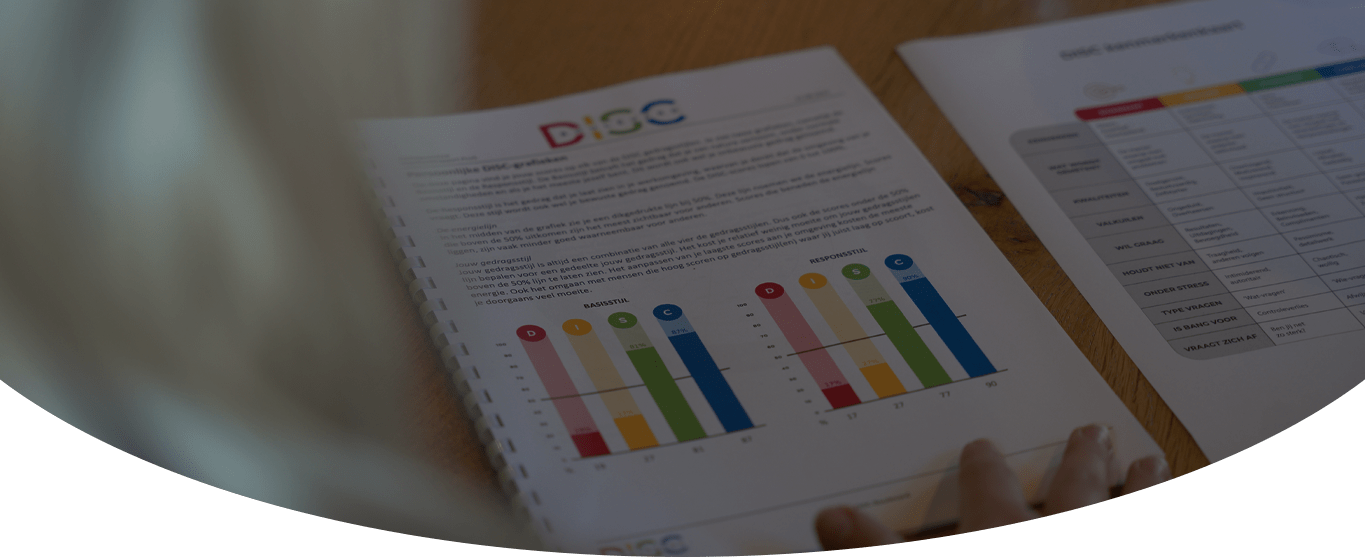 Voorbeeld van DISC kleurentest rapport van DISC Boulevard